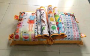 Price Down - Kids Study Pillow