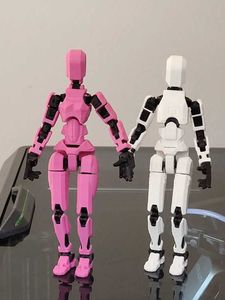 Action Figure Mannequin female DIY KIT