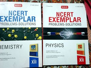 Ncert Exampler