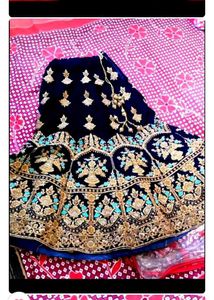 Elegant Embellished Lehenga
