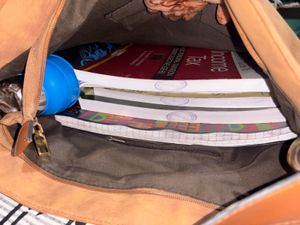 Handbag Large