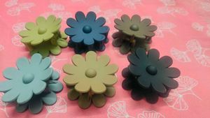 Large Beautiful Flower Premium Clatures