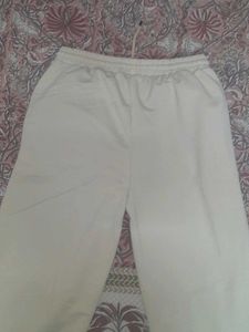 Beige Casual Sweatpants