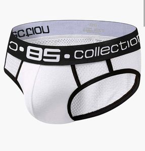 0850 Collection Brief