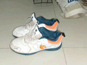 DS Cricket Kit