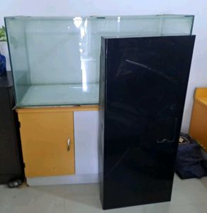 Glass Aquarium With Black Lid