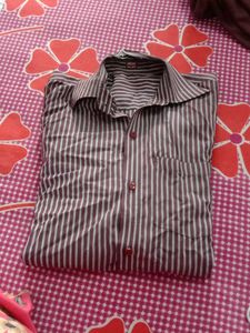 Shirt For Men's