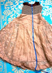 Brown   Skin Color  Organza  Dress.