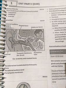 ✨New💙 Prepladder ENT RR-5.0 fmge Notes 🤍