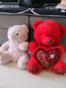 Teddy bear combo