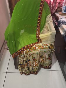 Embroidered Indian Saree