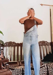 Light Wash Denim Overalls