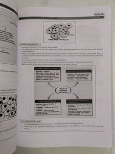 Grade 11 Biology NEET - Vedantu Practice Book