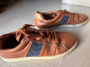 Arrow Sneaker Men Shoes