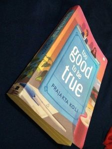 Too Good to Be True Novel