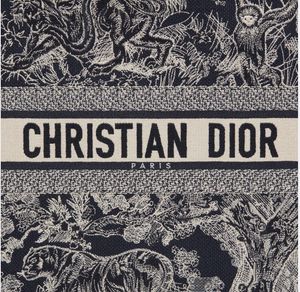 Christian Dior Book Tote Bag