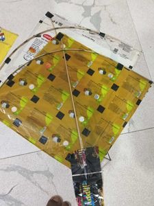 Fun Kites
