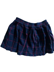 Zara Pleated Mini Skirt