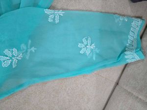 Sea Green Chikankari Kurti With Lining