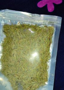 Premium Dried Rosemary Leaves – 100% Natural &amp; Aro