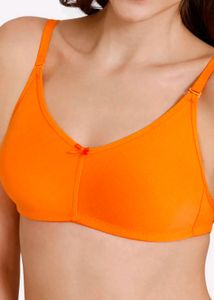 Women Zivame Double Layered Bra