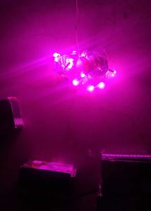 New/unused  With Box Baby Pink Fairy Lights.