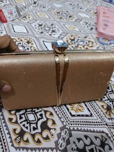 Elegant Evening Clutch