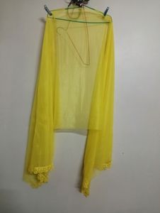 Yellow 🌼🌼🌼🌼