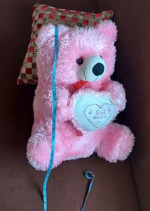 LIGHT PINK 🧸 TEDDY