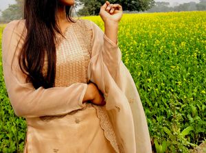 Organza Salwar Suit