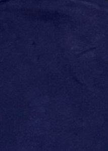 Lacoste Navy Blue Sweatshirt