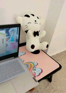 Cute Cat 🐈 Plush Toy 🧸
