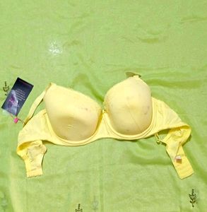 Plus Size Underwire Cotton Bra