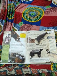 Junior Encyclopedia: Animals
