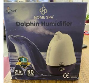 Home Spa Humidifier