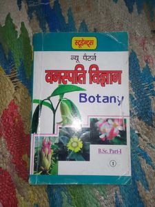 Bsc 1st Year
