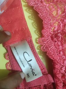 Net Bra And Multicolored Frenchie Style Panty