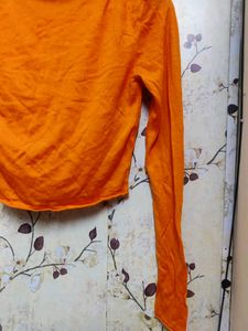 Turtleneck Long Sleeve Zara Crop Top