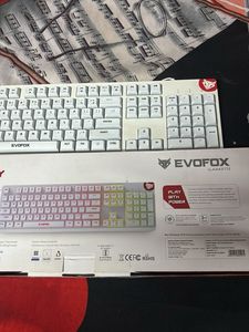 EVOFox Mechanical Keyboard