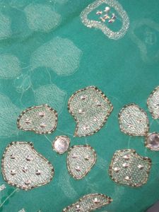 Green Embellished Saree