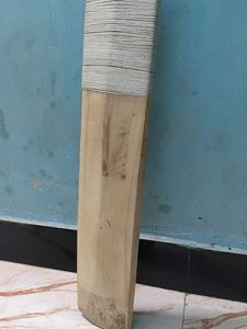 Cricket Bat