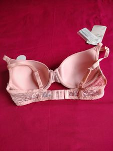 Zivame Beautiful Paded Bra ✨💗👌