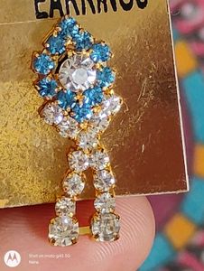 Blue Stoned Earrings