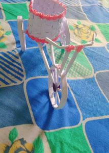 Peper Cycle Gift