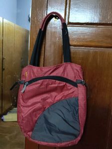 Combo Of Two Bags