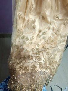 Ethinic Gown Golden