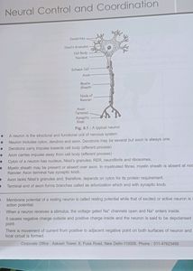 Diagram Book Of Zoology And Botany For Neet