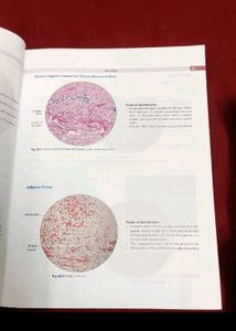 Histology Book