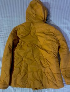 Yellow Winter Jacket (With Free Gift)