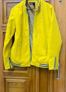 Yellow Jacket
